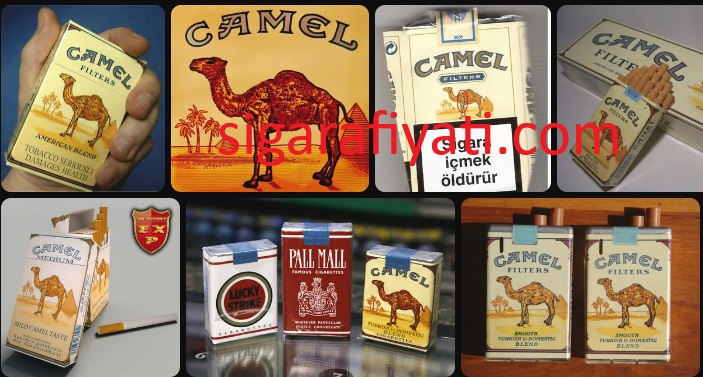 Camel Sigara Fiyatları